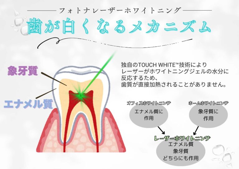 歯が白くなるメカニズム